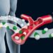 What Hormones Do for the Body