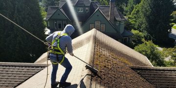 Removing Roof Moss Before It Destroys Your Shingles