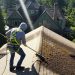 Removing Roof Moss Before It Destroys Your Shingles